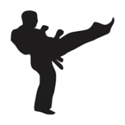 Silhouette doing karate high kick
